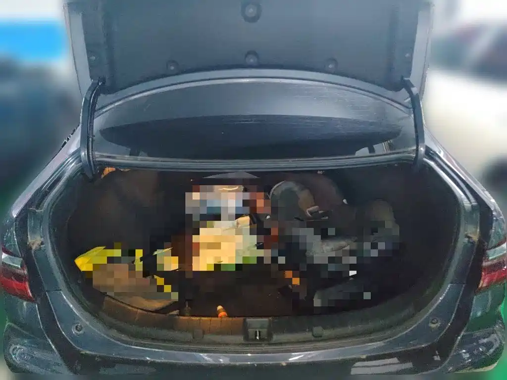 BYD Qin NEV