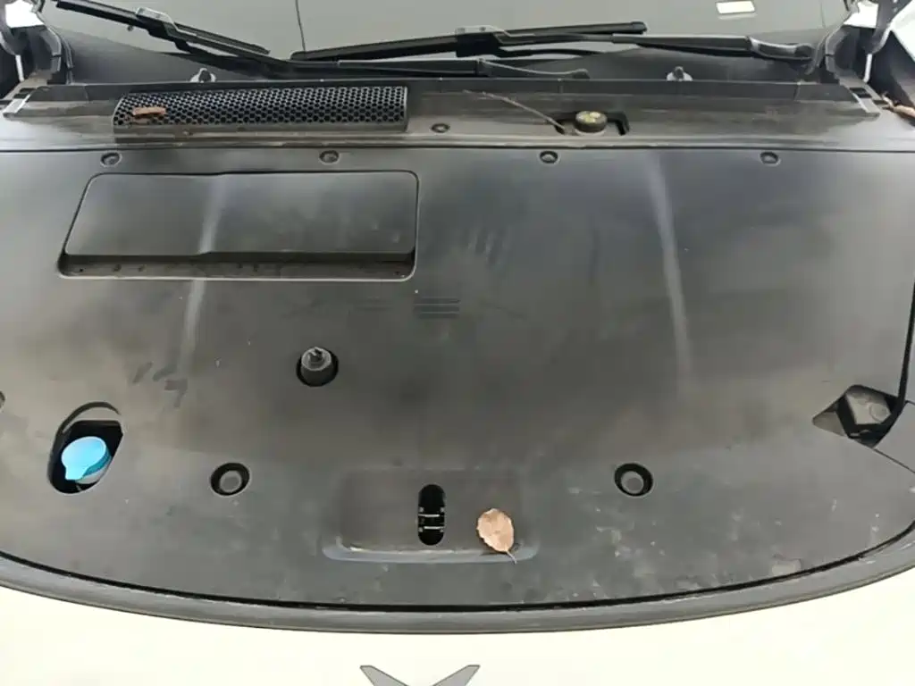 XPeng P7+