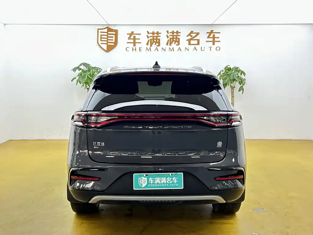 BYD Tang New Energy