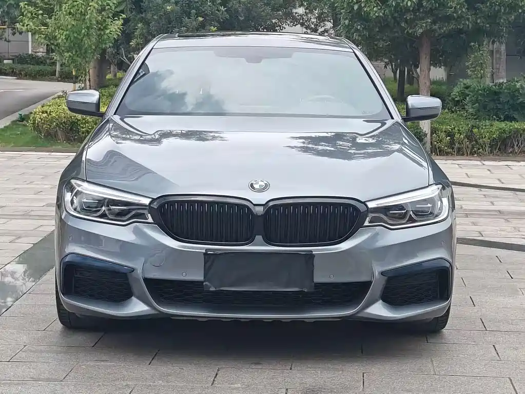 BMW 5 Series (Import)