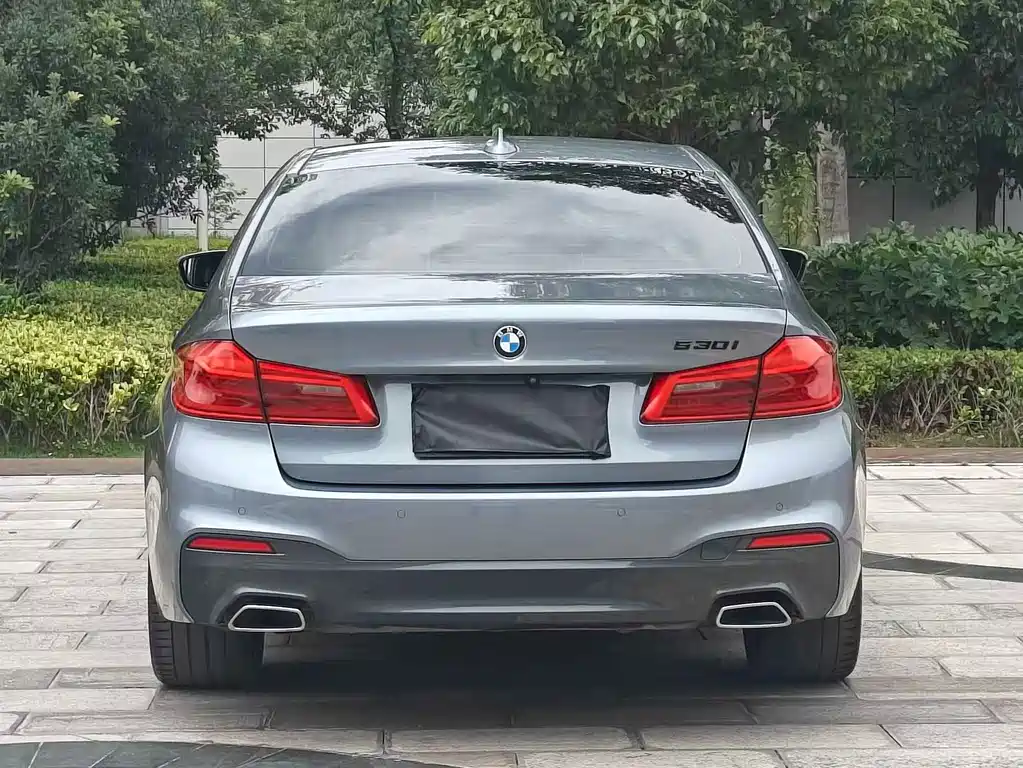 BMW 5 Series (Import)