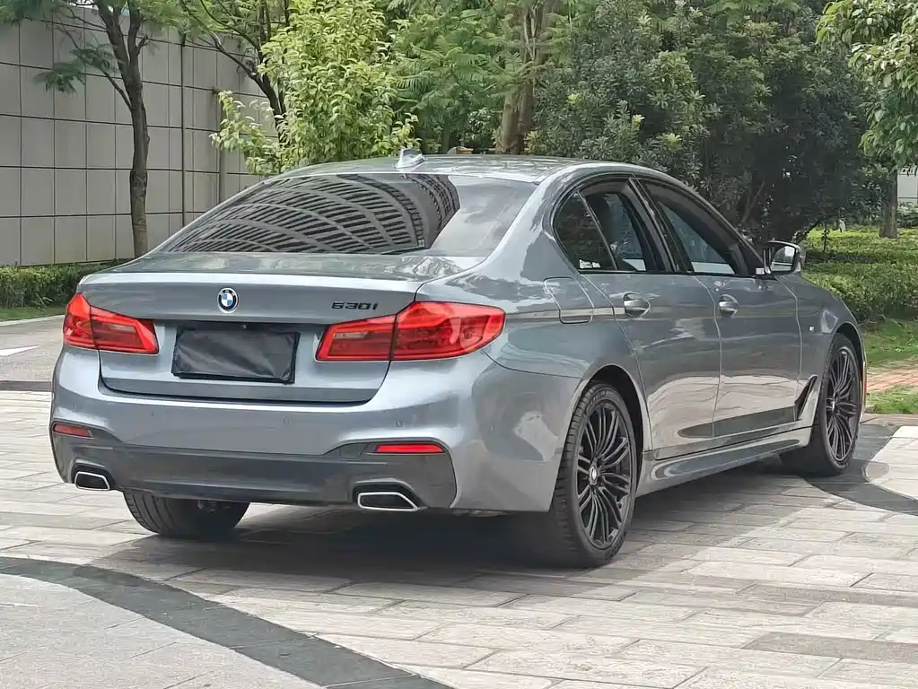 BMW 5 Series (Import)