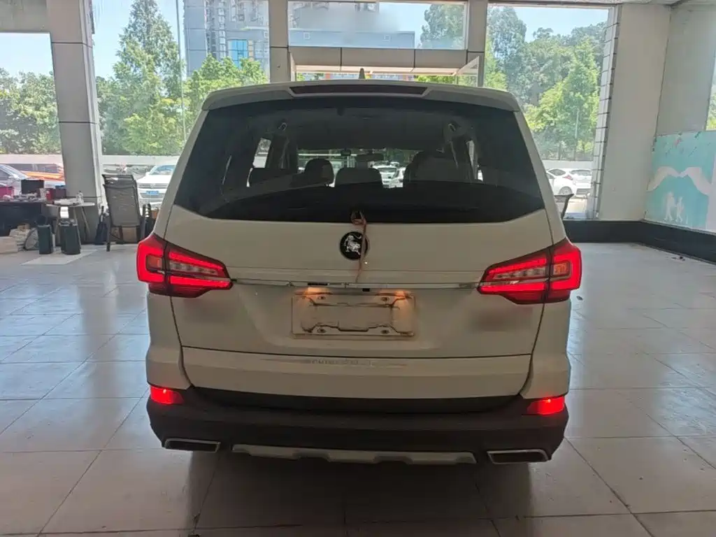 Fengxing Fengxing SX6