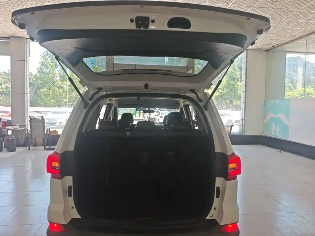 Fengxing Fengxing SX6
