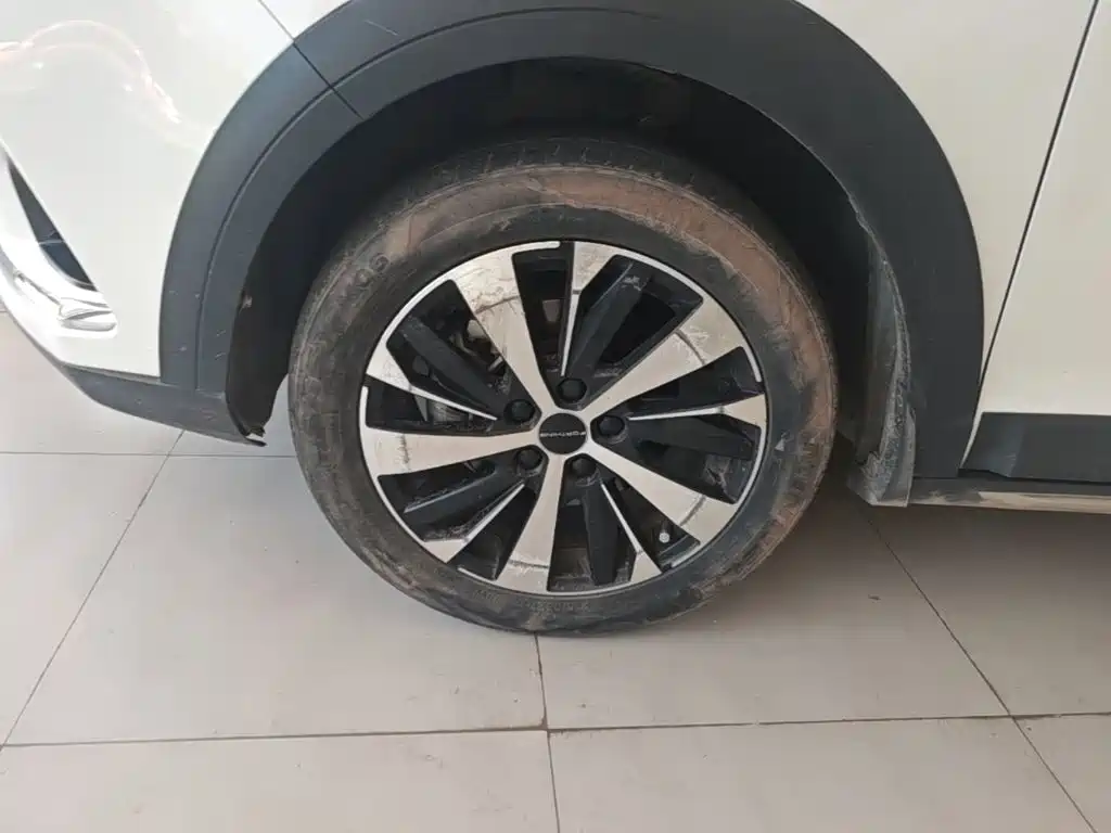 Fengxing Fengxing SX6