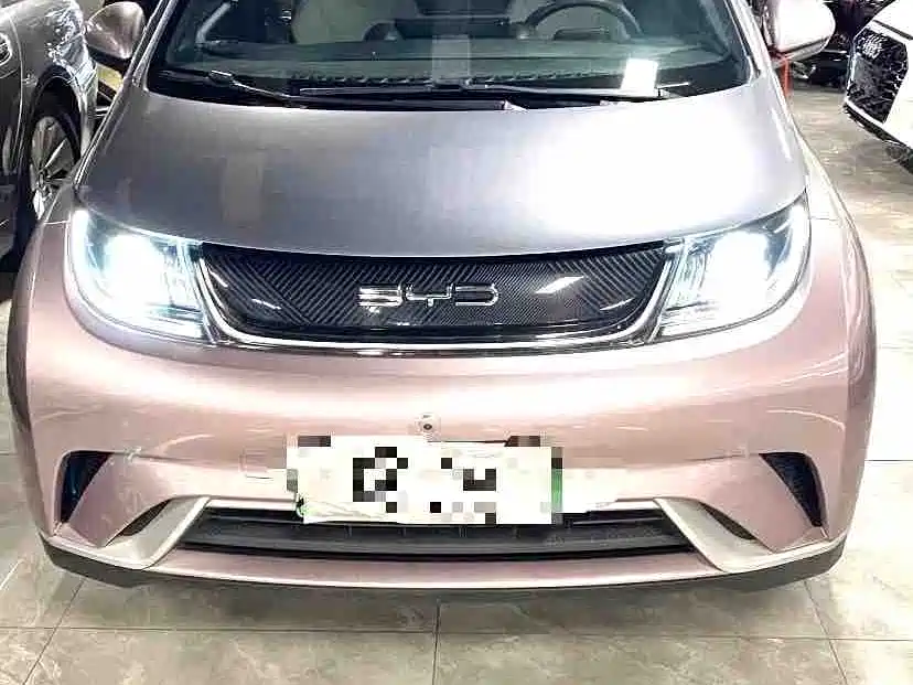 BYD Dolphin