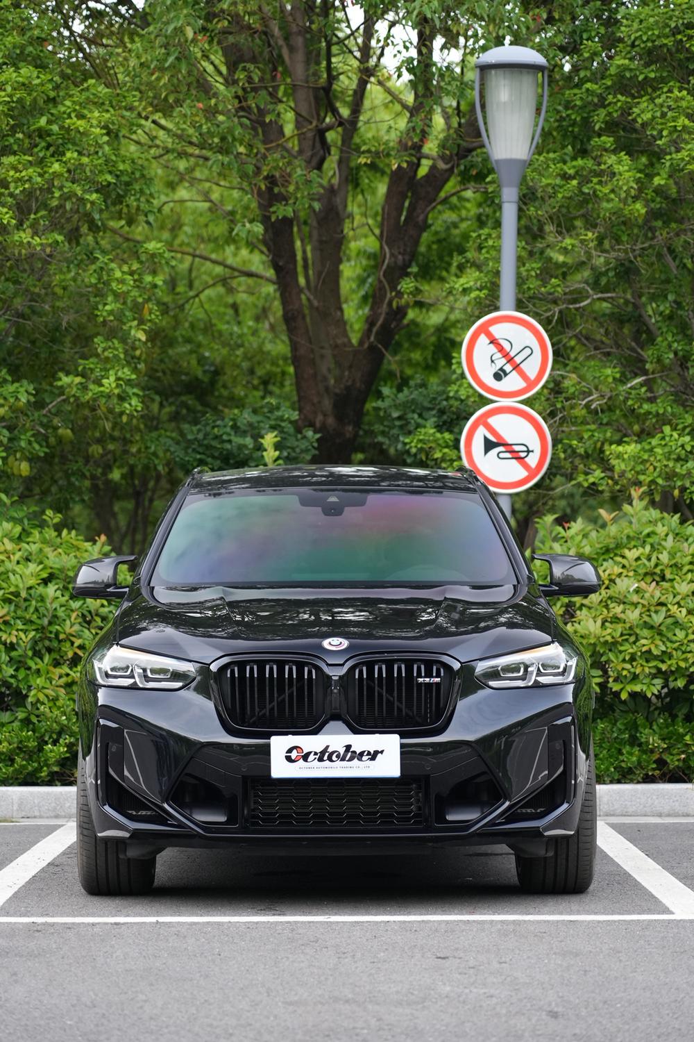 BMW BMW X3 M