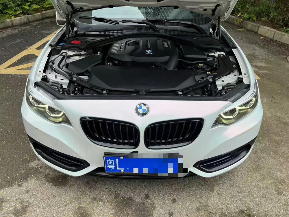 BMW BMW 2-Series (Import)
