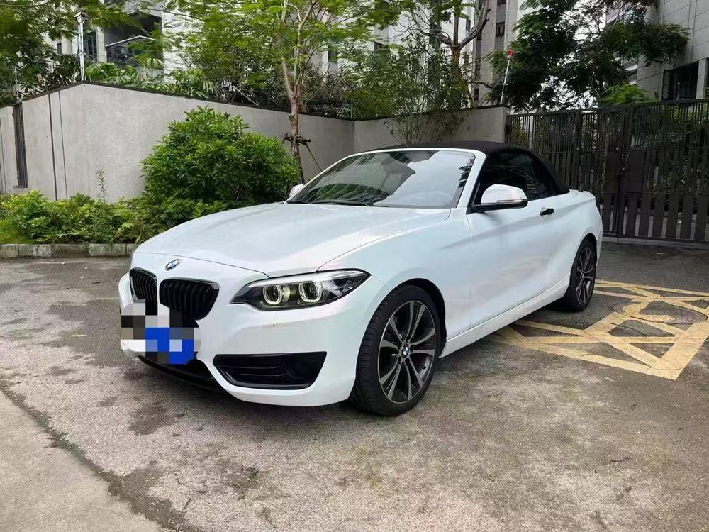 BMW BMW 2-Series (Import)