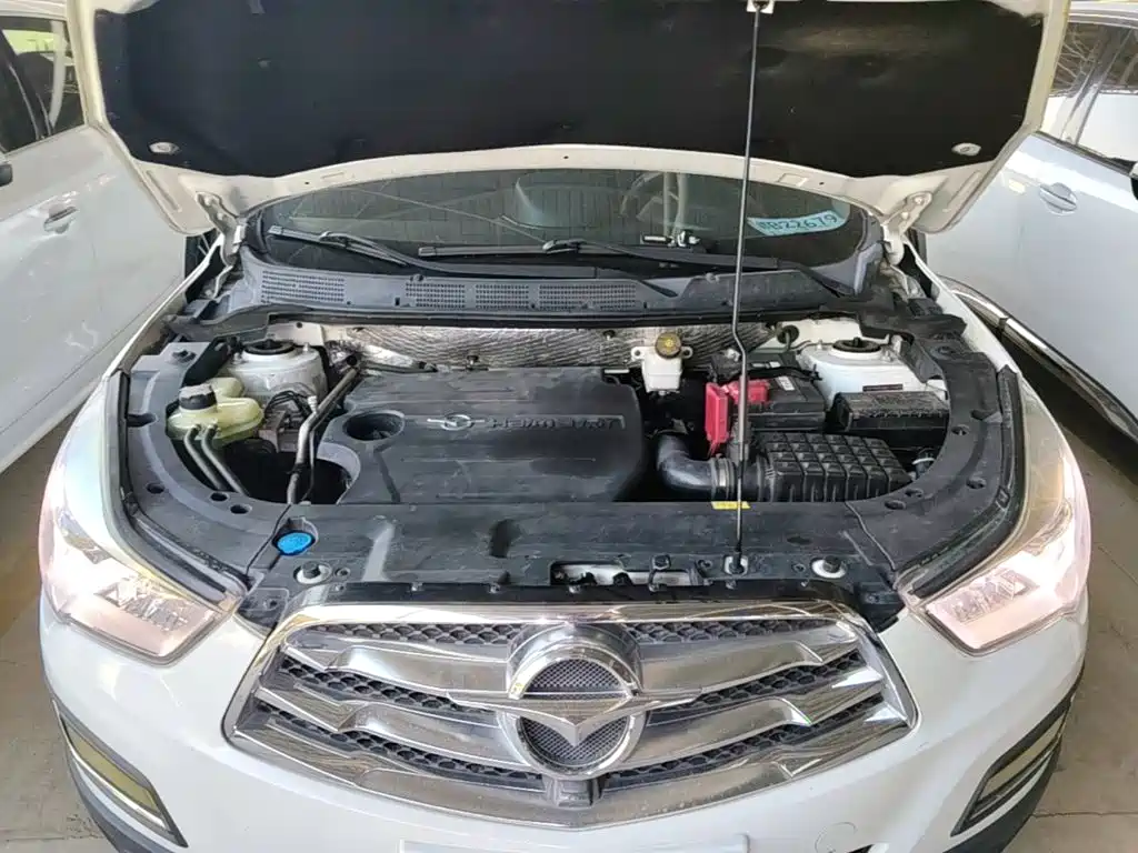 Haima Haima S5