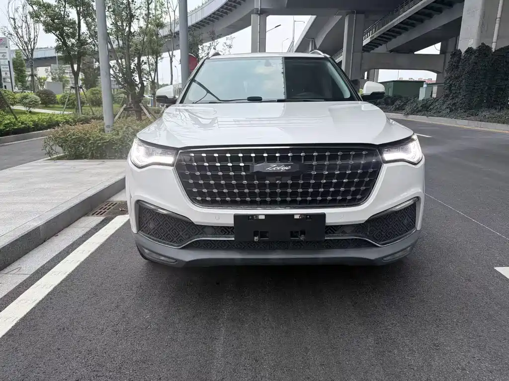 Zotye Zotye T700